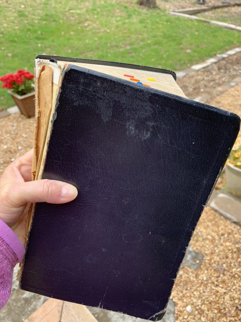 hand holding Bible