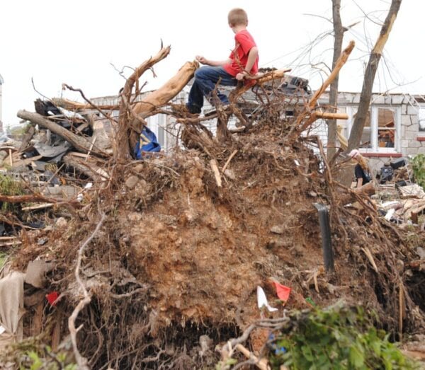 boy on uprooted tree