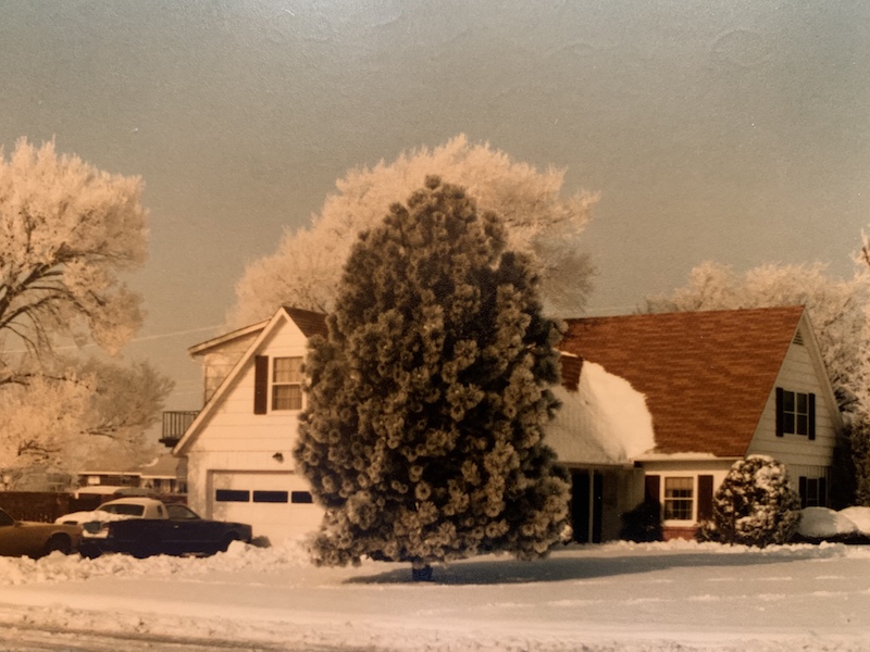 my house #2 house in the winter
